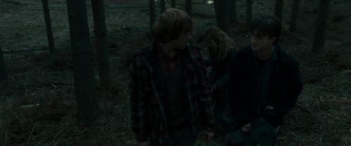 RdM1-Potterish11980.jpg