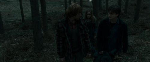 RdM1-Potterish11981.jpg