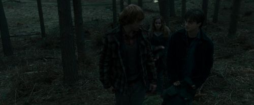RdM1-Potterish11983.jpg