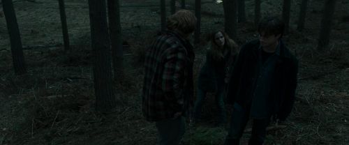 RdM1-Potterish11985.jpg