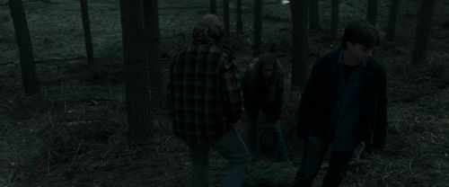 RdM1-Potterish11986.jpg