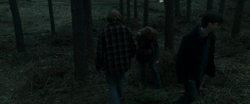 Click to view full size image
==============
RdM1-Potterish11987.jpg RdM1-Potterish11987.jpg