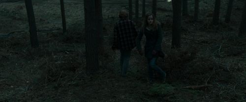 RdM1-Potterish11990.jpg