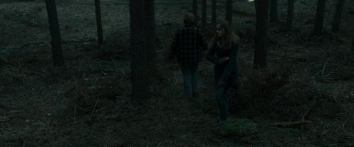 RdM1-Potterish11991.jpg