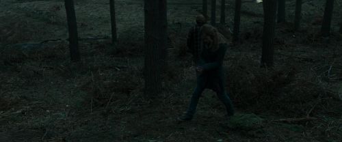 RdM1-Potterish11993.jpg