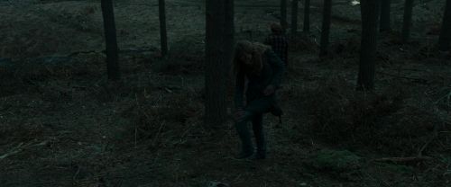RdM1-Potterish11994.jpg