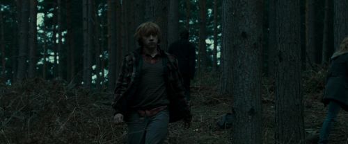 RdM1-Potterish11995.jpg