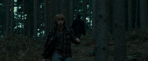 Click to view full size image
==============
RdM1-Potterish11996.jpg RdM1-Potterish11996.jpg