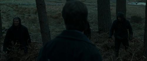 Click to view full size image
==============
RdM1-Potterish12002.jpg RdM1-Potterish12002.jpg