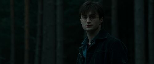 RdM1-Potterish12003.jpg