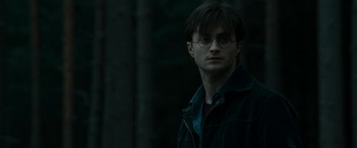 RdM1-Potterish12005.jpg