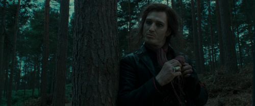 RdM1-Potterish12007.jpg