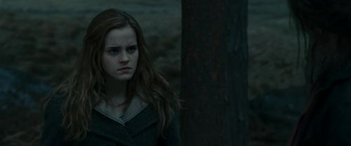 RdM1-Potterish12009.jpg