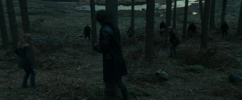 RdM1-Potterish12013.jpg