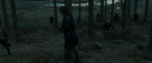 RdM1-Potterish12015.jpg