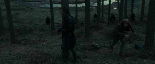 RdM1-Potterish12017.jpg