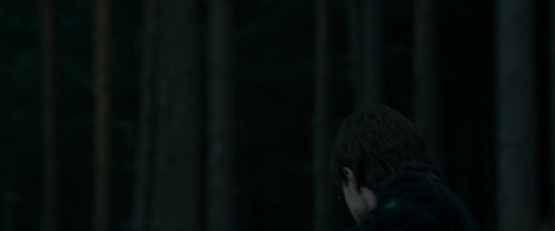 RdM1-Potterish12019.jpg
