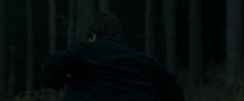 RdM1-Potterish12020.jpg