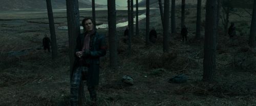 RdM1-Potterish12021.jpg