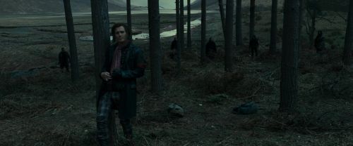 RdM1-Potterish12022.jpg