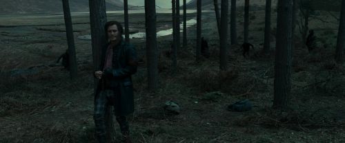 Click to view full size image
==============
RdM1-Potterish12023.jpg RdM1-Potterish12023.jpg