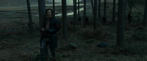 RdM1-Potterish12024.jpg
