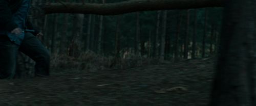 Click to view full size image
==============
RdM1-Potterish12025.jpg RdM1-Potterish12025.jpg