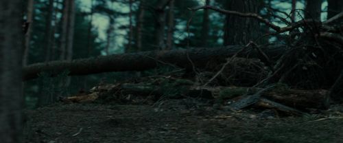 Click to view full size image
==============
RdM1-Potterish12026.jpg RdM1-Potterish12026.jpg