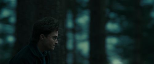 Click to view full size image
==============
RdM1-Potterish12027.jpg RdM1-Potterish12027.jpg