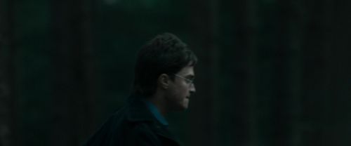 RdM1-Potterish12028.jpg