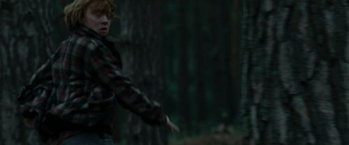RdM1-Potterish12031.jpg
