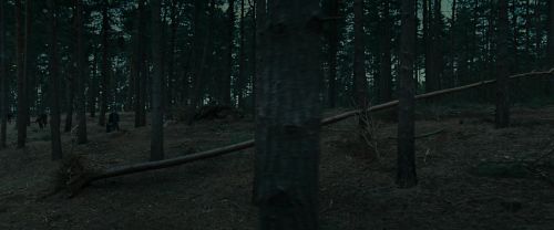 Click to view full size image
==============
RdM1-Potterish12037.jpg RdM1-Potterish12037.jpg