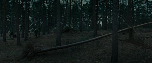 RdM1-Potterish12038.jpg