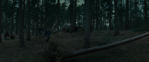 RdM1-Potterish12039.jpg