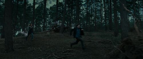 Click to view full size image
==============
RdM1-Potterish12040.jpg RdM1-Potterish12040.jpg