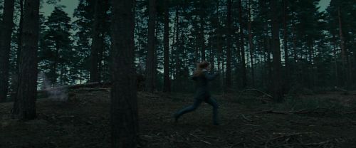 Click to view full size image
==============
RdM1-Potterish12041.jpg RdM1-Potterish12041.jpg