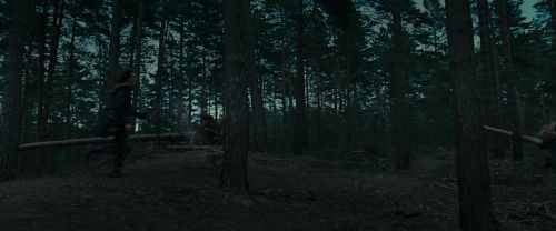 Click to view full size image
==============
RdM1-Potterish12042.jpg RdM1-Potterish12042.jpg