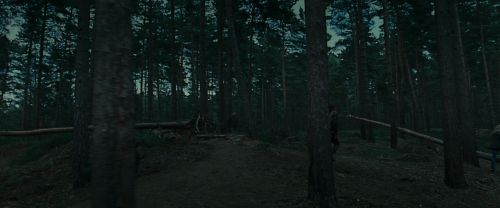 Click to view full size image
==============
RdM1-Potterish12043.jpg RdM1-Potterish12043.jpg