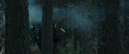 Click to view full size image
==============
RdM1-Potterish12045.jpg RdM1-Potterish12045.jpg
