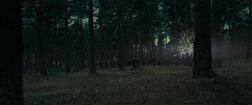 RdM1-Potterish12050.jpg