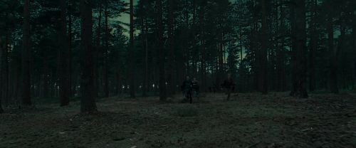 RdM1-Potterish12051.jpg