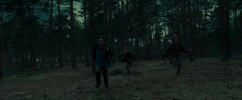 Click to view full size image
==============
RdM1-Potterish12052.jpg RdM1-Potterish12052.jpg
