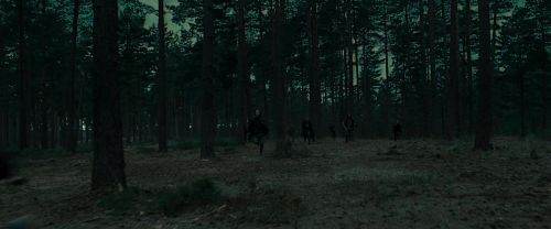 Click to view full size image
==============
RdM1-Potterish12053.jpg RdM1-Potterish12053.jpg