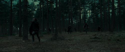 Click to view full size image
==============
RdM1-Potterish12054.jpg RdM1-Potterish12054.jpg