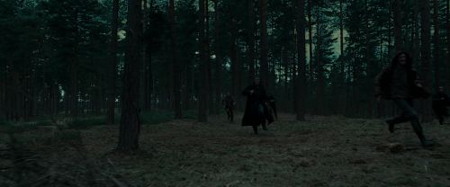 Click to view full size image
==============
RdM1-Potterish12055.jpg RdM1-Potterish12055.jpg