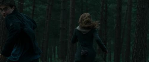 Click to view full size image
==============
RdM1-Potterish12057.jpg RdM1-Potterish12057.jpg