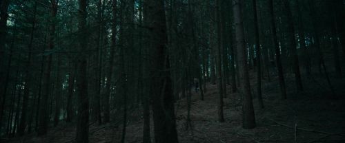 Click to view full size image
==============
RdM1-Potterish12066.jpg RdM1-Potterish12066.jpg