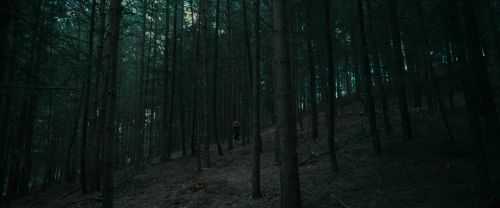 Click to view full size image
==============
RdM1-Potterish12067.jpg RdM1-Potterish12067.jpg