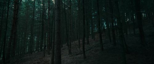 RdM1-Potterish12068.jpg