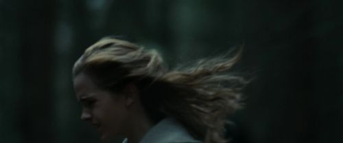 Click to view full size image
==============
RdM1-Potterish12069.jpg RdM1-Potterish12069.jpg